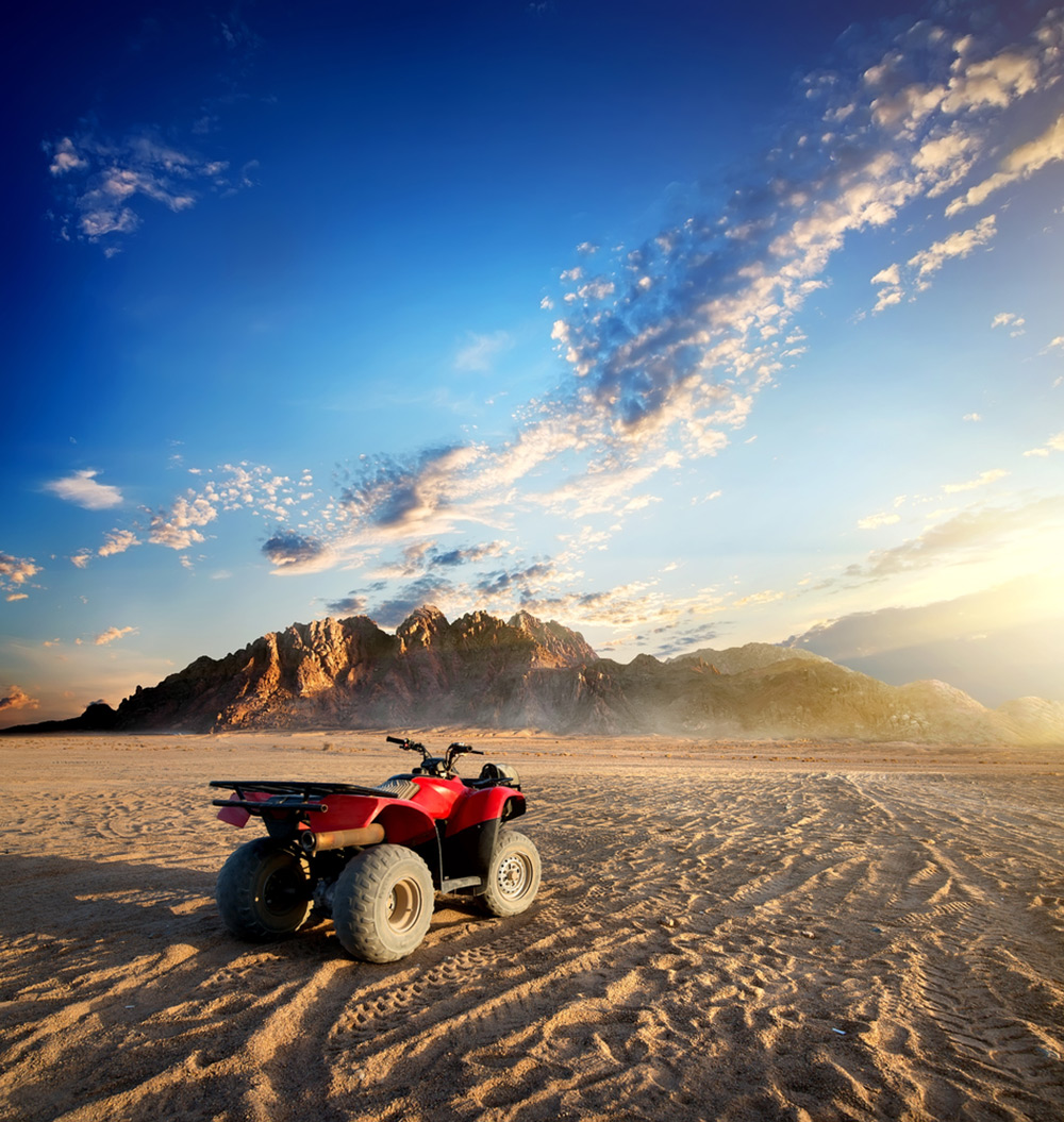 Quad Bike Safari